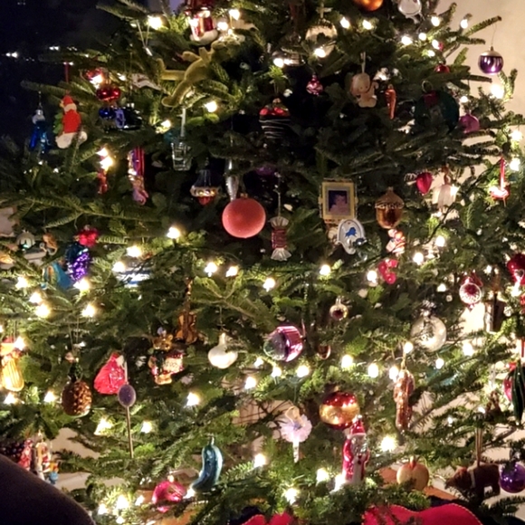 Welcome To My Closet - Picture 12 of 16